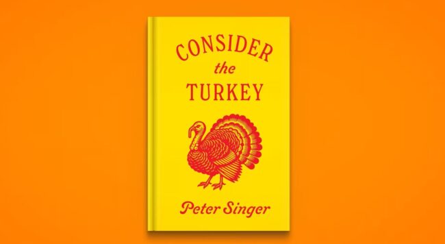 consider the turkey